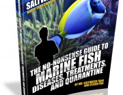 MrSaltwaterTank-Book06-Ecover