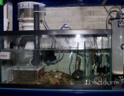Sump in use with equipment. image via R2R member Poseidon