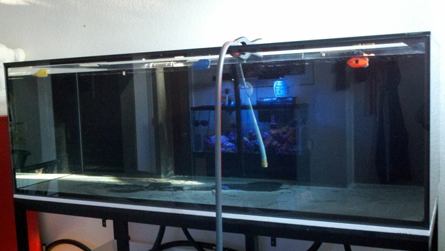 tank leak test image via reef2reef member TD2K