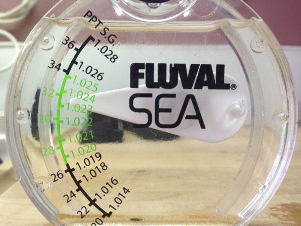 fluval_sea_web