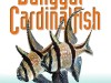 Banggai-front-cover-500px