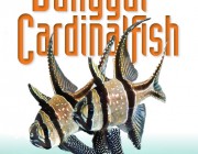 Banggai-front-cover-500px