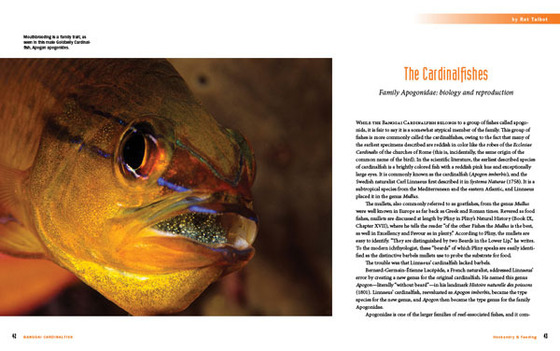Opening spread for The Cardinalfishes chapter.