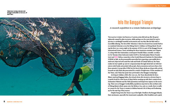 Into the Banggai Triangle opening spread.