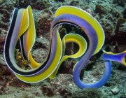 image via lifeuwater.blogspot.com