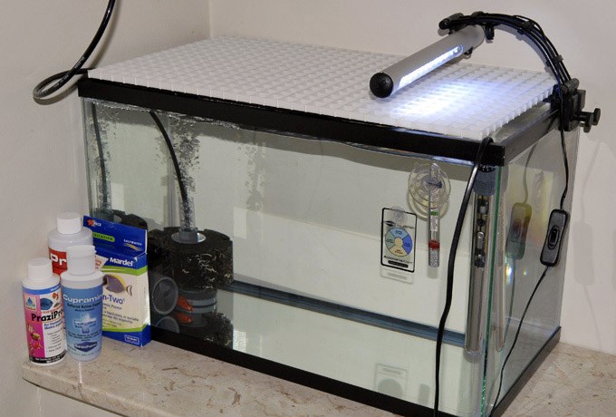 example quarantine or hospital tank image via AdvancedAquarist.com