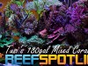 Reef Spotlight Mag Featured Image