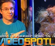 Video Spotlight Featured Image
