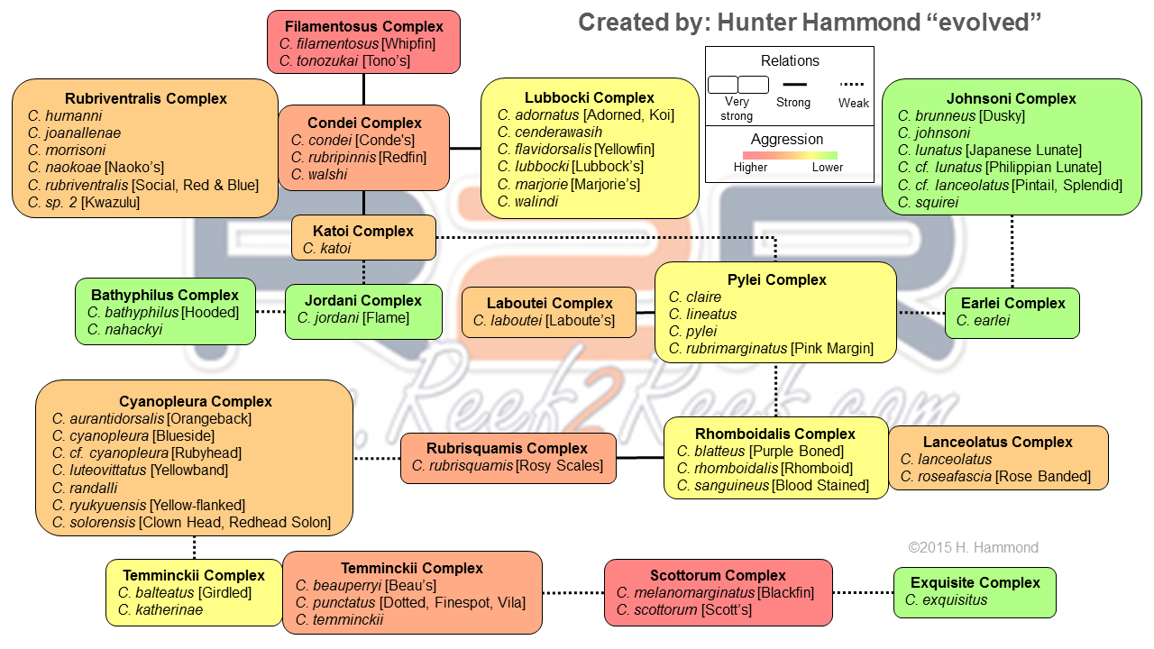 chart.png