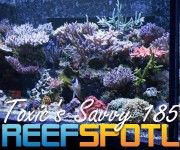 Reef Spotlight Mag Featured Image