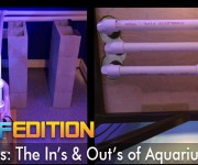 Title pic1