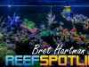 Reef Spotlight