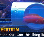 acclimation box