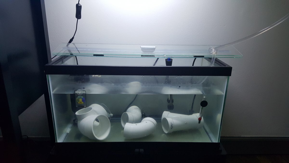 EMERGENCY FISH OPERATION Venting a Swim Bladder REEFEDITION