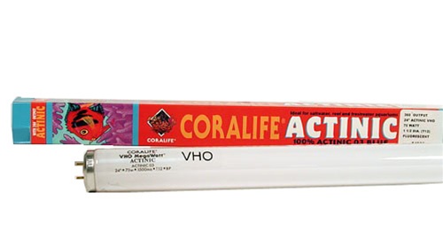 coralife-75w-actinic-24-inch-vho-fluorescent-lamp-t12-500x278