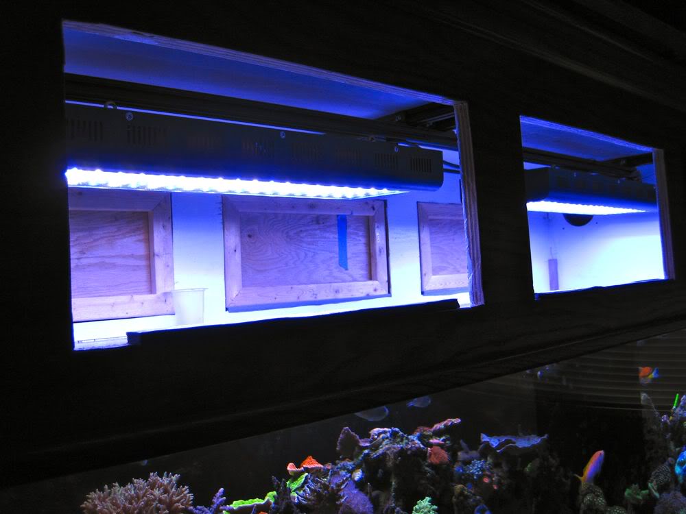 led lighting mounted in tank canopy image via reef2reef member reefkoi