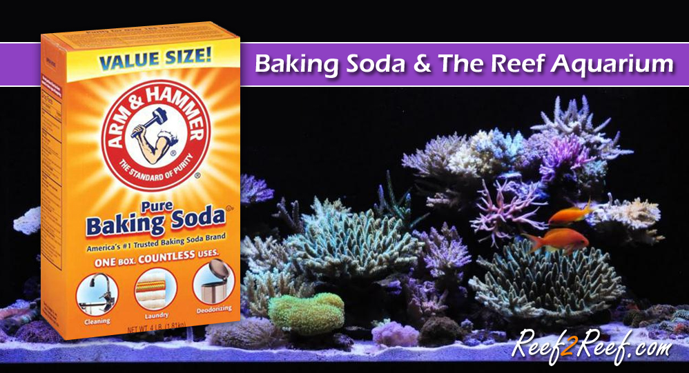 baking soda reef2reef