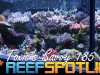 Reef Spotlight Mag Featured Image